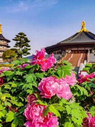 SẮC MÀU KINH ĐÔ TRUNG HOA: TÂY AN – LẠC DƯƠNG – TRỊNH CHÂU