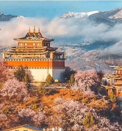 VÂN NAM PHONG HOA - SHANGRILA